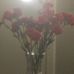 Meet your Posher, Rosa